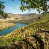 Image of Eco Tours