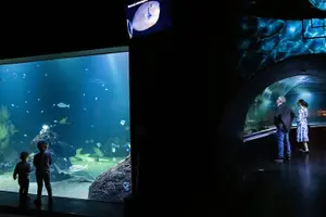 Tour image of Gothenburg Universeum Ticket - Aquarium, Science, Wildlife, Zoo