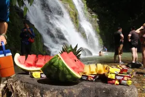 Tour image of Whitewater Rafting Savegre Class II-III plus Waterfall Manuel Antonio