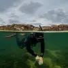Image of Snorkeling