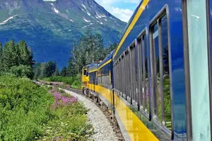 Tour image of Alaska Railroad Denali to Anchorage One Way