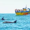 Image of Eco Tours