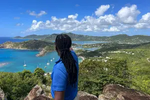 Tour image of Island Flava Discovery Tour