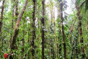 Tour image of Vermont Nature Trail Hike