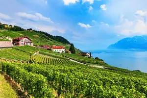 Tour image of Geneva to Gruyère Private Day Trip. Cheese & Chocolate Tour