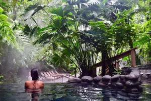 Tour image of 13 days: Jungle and Beach in Costa Rica