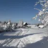 Image of Snowshoeing