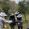 Image of Art & Culture Classes