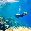 Image of Scuba Diving