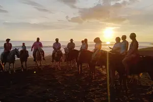 Tour image of Jaco Horseback Riding Adventure Tours
