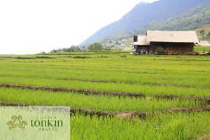 Tour image of Sapa hard trekking villages homestay 3days/ 2nights tour - amazing culture