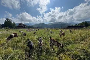 Tour image of Zakopane Day Trip from Krakow: Thermal Pools & Gubałówka Ride
