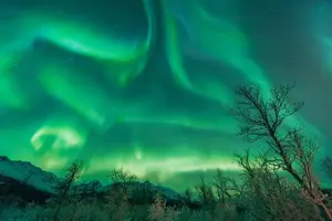 Tour image of Northern Lights Hunt with The Green Adventure - photos included