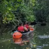 Image of Safaris