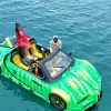 Image of Dolphin Watching