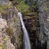 Image of Nature Walks