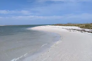 Tour image of Three Hour Shelling Cruise to Shell Key Preserve from John's Pass