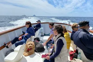Tour image of Unforgettable Skellig Michael Boat Tour