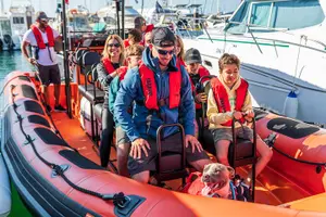 Tour image of Cascais coast: Dolphin watching