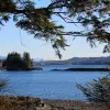 Image of Nature and Wildlife Tours