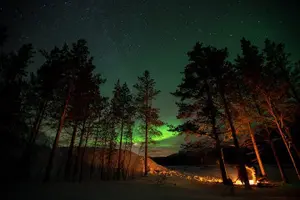Tour image of Tromsø: Small Group Northern Lights Hunt
