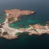 Image of Fishing Charters