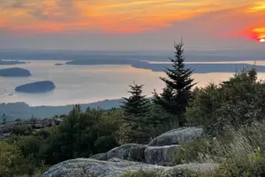 Tour image of Explore Acadia with Ease Premium E-bike Rentals and Free Delivery