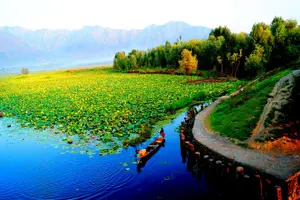 Image of India