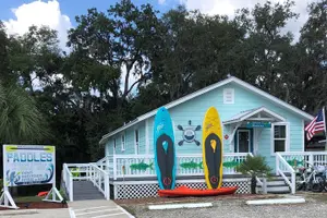 Tour image of Full Day Tandem Kayak Rental For Two People In Crystal River, Florida