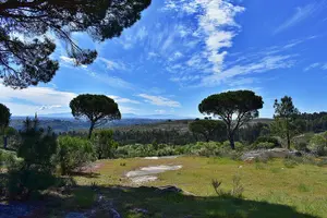 Tour image of Archaeological Circuit of Fiais/Azenha and Cova da Moira