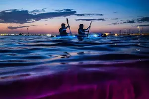Tour image of Glowing Kayak Tour Corpus Christi - North Padre Island