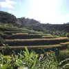 Image of Hiking Tours