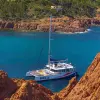 Image of Brunch Cruises