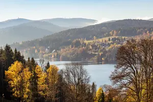 Tour image of Black Forest and Rhine Falls Day Trip from Zurich