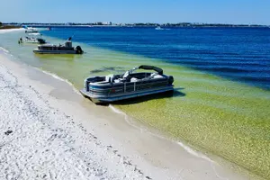 Tour image of Full Day 60HP Pontoon Rental to Shell Island