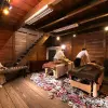 Image of Traditional Wellness