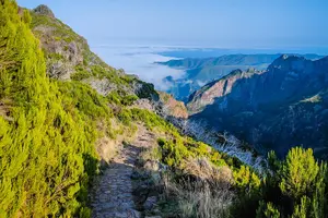 Tour image of Full Day Private Shore Tour in Madeira from Funchal Cruise Port