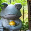 Image of Eco Tours