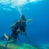 Image of Scuba Diving