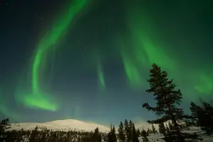 Tour image of Northern Lights Hunting Photography Tour in Levi