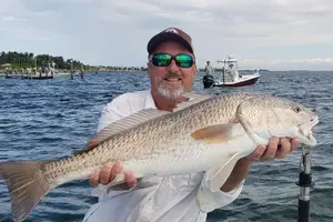 Tour image of 1/2 Day Afternoon Charter Fishing Naples Marco Island Sanibel