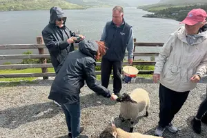 Tour image of Private Day Tour Cliffs of Moher & The Burren Experience