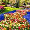 Image of Plantation Tours