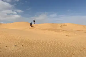 Tour image of Desert Safari Trip Full Day & Ubar Lost city