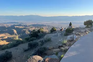 Tour image of Private Sightseeing & Adventure tour of Joshua Tree National Park