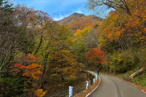 Tour image of Nikko Cycling Tour with Local Guide