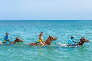 Tour image of Catamaran, ATV and Horse Back Riding/Swim
