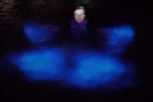 Tour image of Night Bioluminescence Snorkel Tour