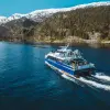 Image of Catamaran Cruises