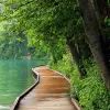 Image of Nature and Wildlife Tours
